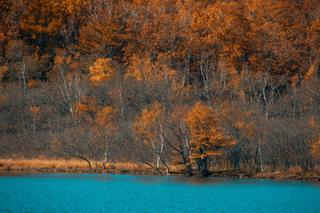 Sikhote-Alin Biosphere Reserve. Autumn forest on the background of a picturesque lake.