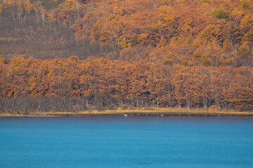 Sikhote-Alin Biosphere Reserve. Autumn forest on the background of a picturesque lake.