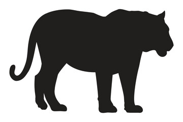 A powerful wild cat illustration, standing still in profile, depicting a tiger, lioness, or large feline predator