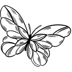 Butterfly outline