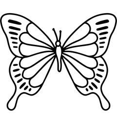 Butterfly Insect Illustration