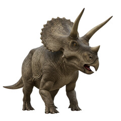 Fototapeta premium 3d render of triceratops dinosaur with open mouth and textured gray skin, Isolated on transparent background, png