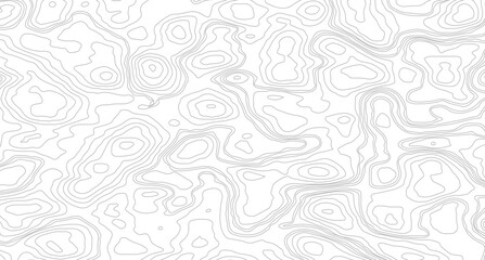 Topographic contour map. similarcartography illustration Business concept. Fish Fillet Texture, Salmon fillet texture, fish pattern. paper texture
