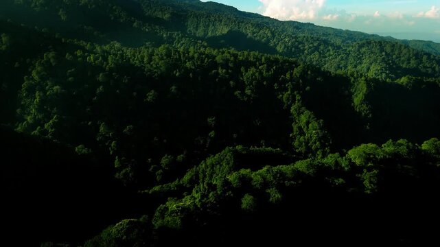 Aerial morning view of mountain with forest hills in Ngadas, Poncokusumo, Malang, East Java, Indonesia