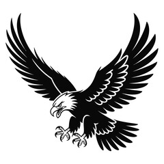 eagle vector illustration