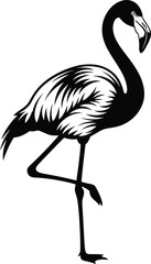 Black and White Flamingo Standing on One Leg Vector Illustration Simple Stylized Graphic Design Element