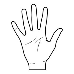 Fototapeta premium Human Hand Outline Illustration Open Palm Drawing Five Fingers Extended Gesture Counting Concept Vector illustration