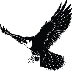 Majestic Falcon in Flight with Spread Wings and Extended Talons Black and White Vector Graphic