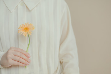 1輪のガーベラを持つ女性の手