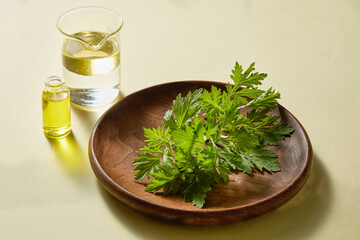 Top-down photo of mugwort leaves in wooden bowl with oil, styled as natural cosmetic skincare ingredient branding shot
