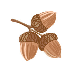 Acorns on a Branch Hand-Drawn Autumn Elements Illustration