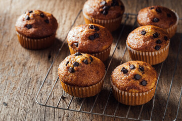Freshly Baked Chocolate Chip Muffins on Rustic Wooden Surface