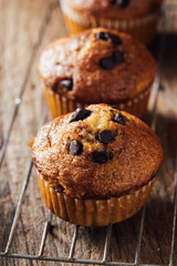 Freshly Baked Muffins with Chocolate Chips on a Cooling Rack