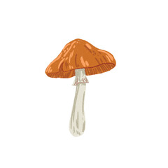 Mushroom with Orange Cap Vector Whimsical Hand-Drawn Clipart