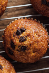 Chocolate Chip Muffin on Cooling Rack with Rustic Wooden Background