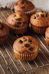Freshly Baked Chocolate Chip Muffins on a Wooden Cooling Rack