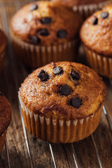 Freshly Baked Muffin with Chocolate Chips on Cooling Rack