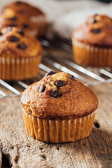 Delicious Homemade Chocolate Chip Muffin on Rustic Wooden Surface