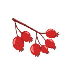 Hand-Drawn Rose Hips Berries on a Branch Illustration