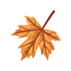 Hand-Drawn Maple Leaf Vector Clipart Illustration