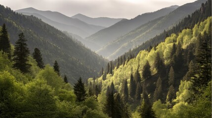 Verdant mountain landscape with lush forested hills and valleys bathed in gentle sunlight creating a serene tranquil atm