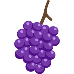 Purple Grapes Bunch on Stem Minimalist Line Art Style Illustration Isolated on Transparent Background Simple Organic Fruit Graphic