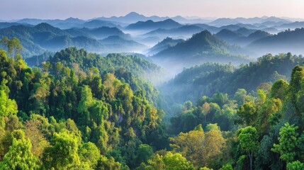 Lush green mountain range with dense forested valleys shrouded in mist, serene and ethereal appearance,