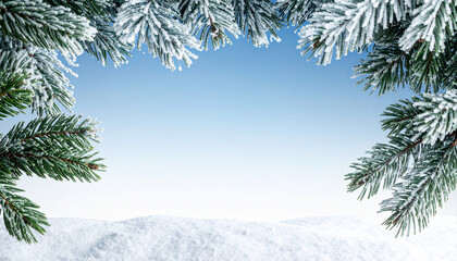 Winter scene with snow-covered fir branches and blue sky.