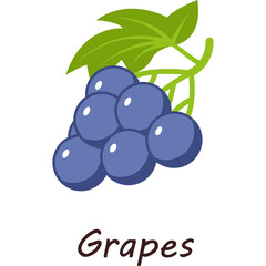 Purple Grapes With Green Leaves And Stems On Transparent Background Artistic Illustration
