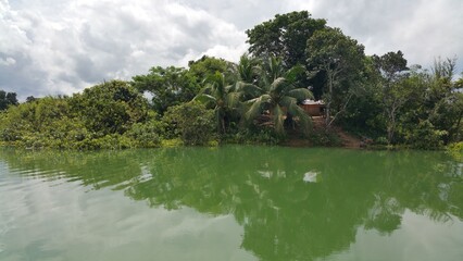 Tropical island with lush green vegetation reflected in calm green water under a cloudy sky