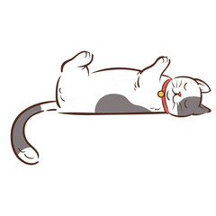 Cute illustration of a white cat with gray patches lying on its back with eyes closed wearing a red collar against a transparent background