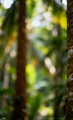 Obraz premium Blurred tropical forest background with sunlit bokeh and a palm tree trunk in the foreground, creating a serene and natural abstract scene