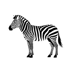 A detailed illustration of a zebra standing in profile