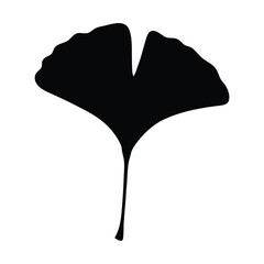 Isolated Ginkgo Biloba Leaf Silhouette in Black on White Background