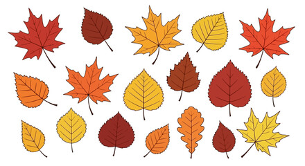 Obraz premium Collection of colorful autumn leaves in various shapes and sizes, isolated on white background.