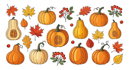 Collection of various pumpkins, gourds, leaves, and berries, perfect for autumn and harvest season.