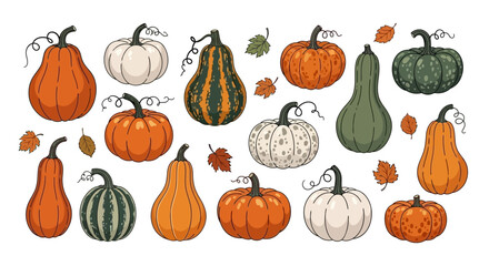 A colorful collection of various pumpkins and gourds, with autumn leaves scattered around them.