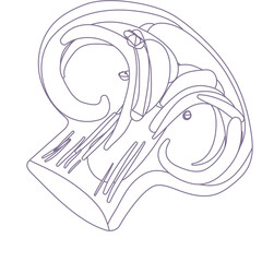 Decorative Swirl Ornament with Intricate Lines and Curving Forms on Transparent Background