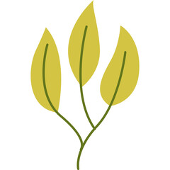 Obraz premium Delicate Yellow Leaves Branch Illustration With Green Stems And Transparent Background Perfect For Nature Themed Designs