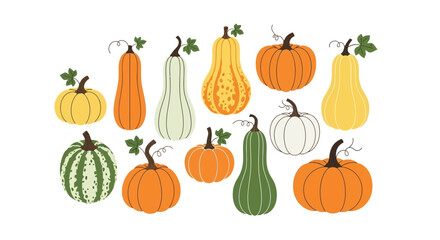 An illustration of various pumpkins and gourds in different shapes and colors.