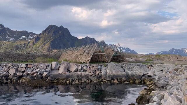 Traditional wooden racks for drying codfish stockfish on rugged Norwegian coast