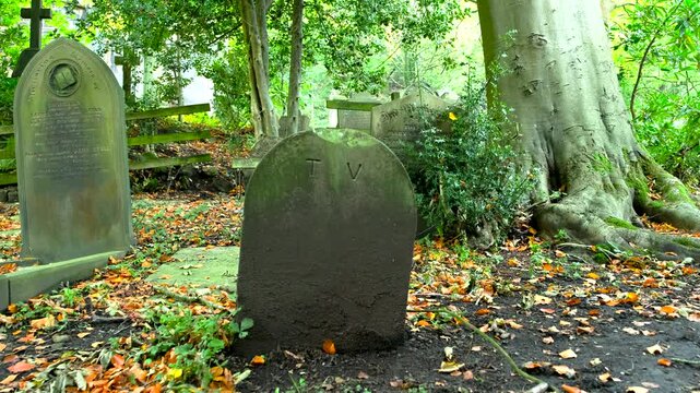 A gravestone marked TV in a churchyard with autumn leaves falling and scattered on the ground symbolizing the end of traditional television
