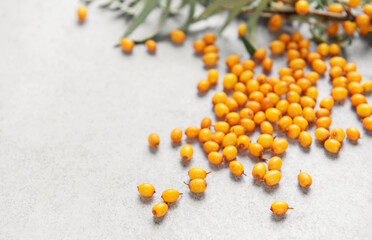 Sea buckthorn berries scattered on gray background
