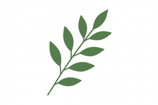 Green botanical sprig with leaves in minimalist flat design illustration, simple plant element on transparent background - Powered by Adobe