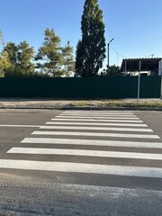 Road with pedestrian crossing. White stripes on an empty road