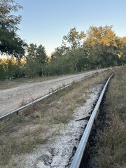 Train tracks overgrown with grass