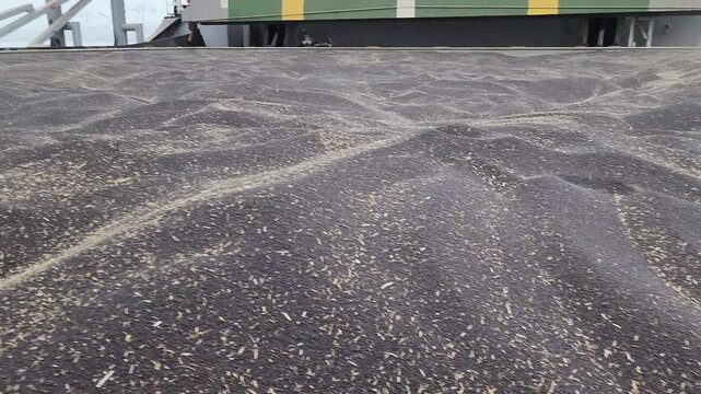 Stowage of rapeseed in bulk on board of bulk carrier