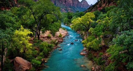 Canyon river flows through lush green trees