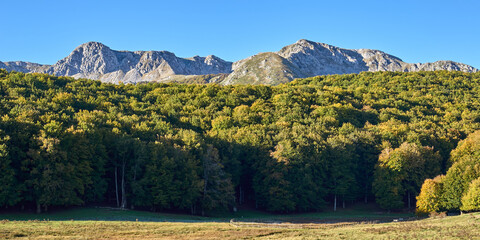 Parco Nazionale d'Abruzzo Lazio e Molise (PNALM) : Autunno sui Monti della Meta e Mainarde -...