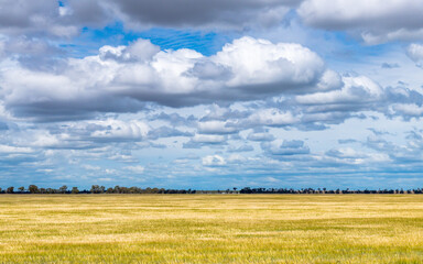 Clouds over the golden pastures in the Riverina countryside